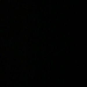 Meet your Posher, Jaynae